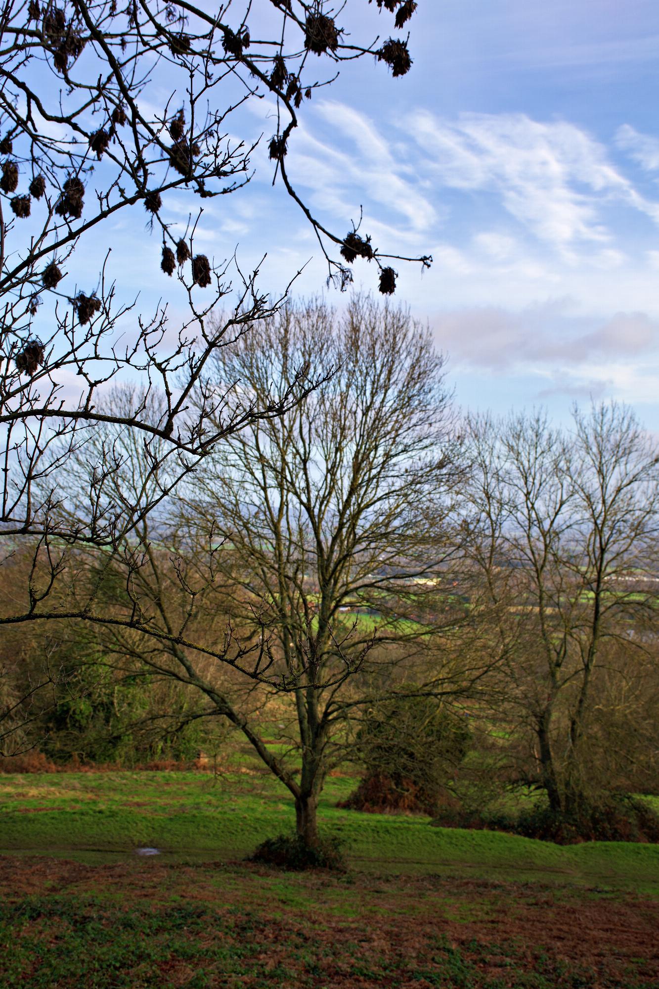dsc_2635_radiant